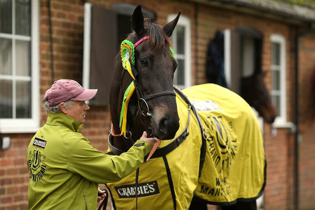 Many Clouds