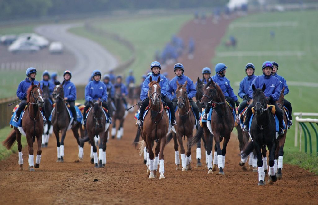  THE BLUE OF THE HUGE GODOLPHIN STRING, TODAY FILLED THE WHOLE OF WARREN HILL, NEWMARKET.