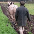 Better to plough your own furrow