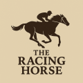 KEMPTON AW Racecourse Template