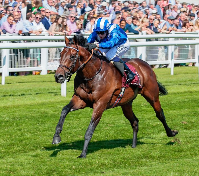 Simply BAAEED - what a racehorse?