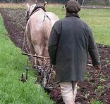 Better to plough your own furrow